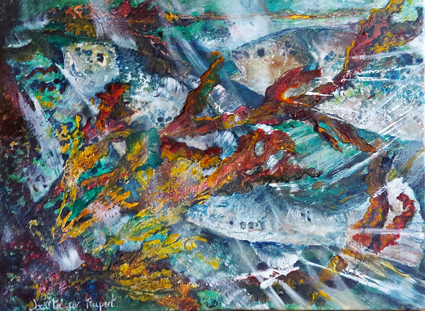 drum fish, corvina von jocasta shakespeare