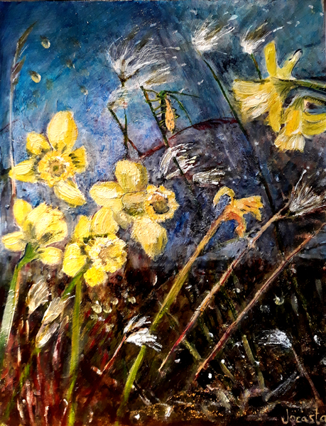 wild daffodils von jocasta shakespeare
