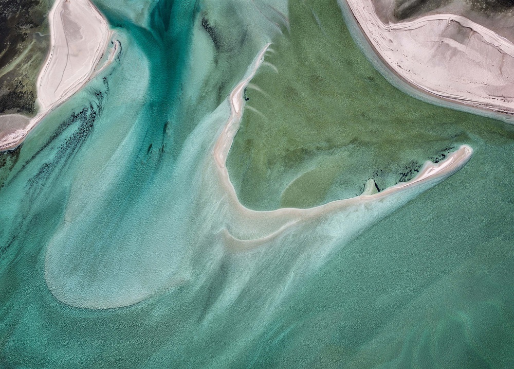 Sea Monster von Jocelyn Manning