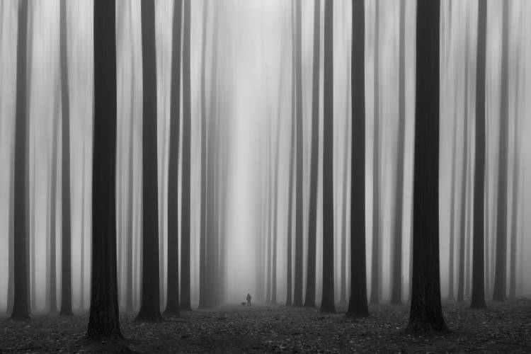 Labyrinth von Jochen Bongaerts