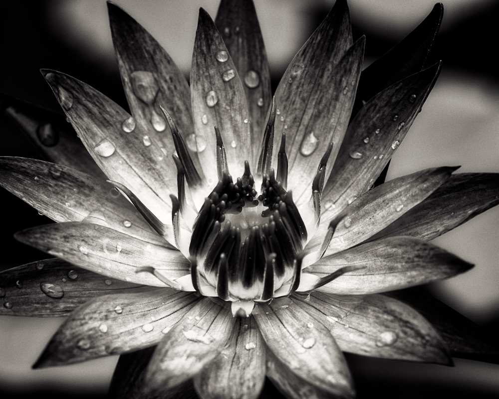 the furnace [D0811-101.2] von Joerg Sannwald