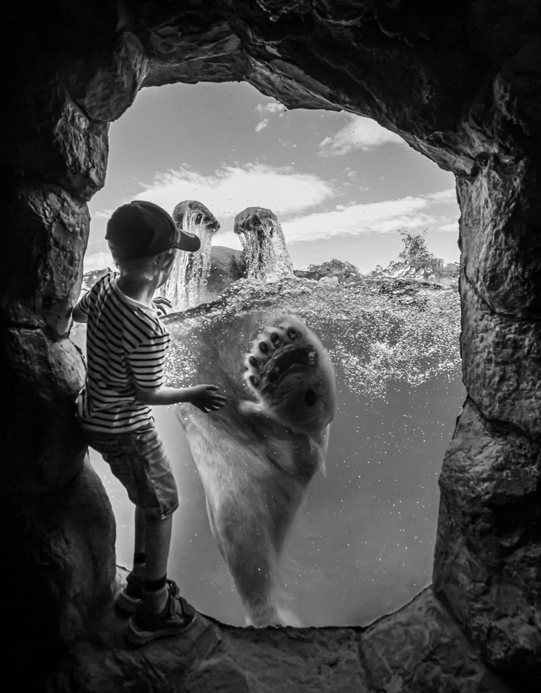 ... the polar bear and the boy # 2 von Jörg Vollrath