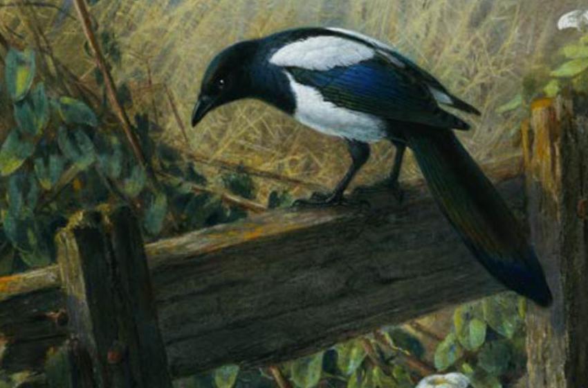 Johan Gerard Keulemans