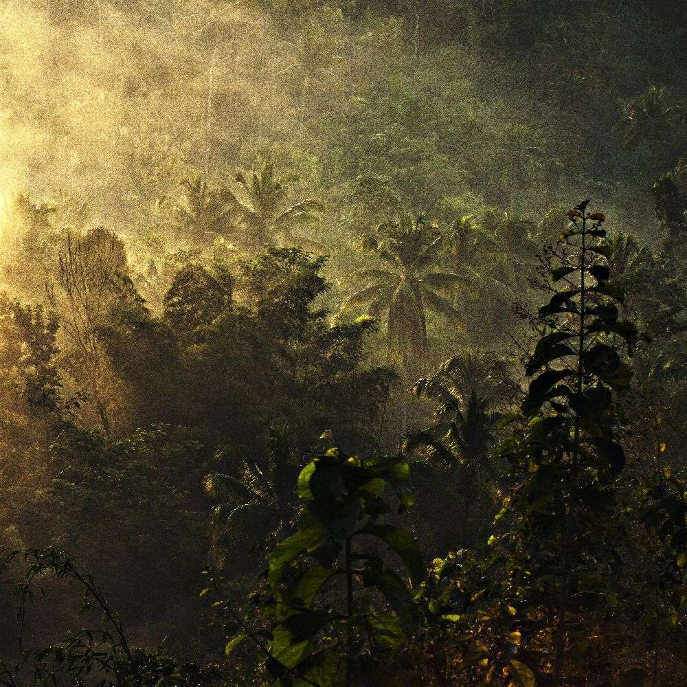 die Atmosphäre des Morgens von Johanes Januar