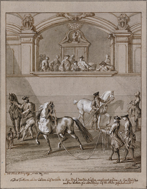 Reitschule, drei Pferde werden am Seil geführt, in einer erhöhten Loge Zuschauer von Johann Elias Ridinger