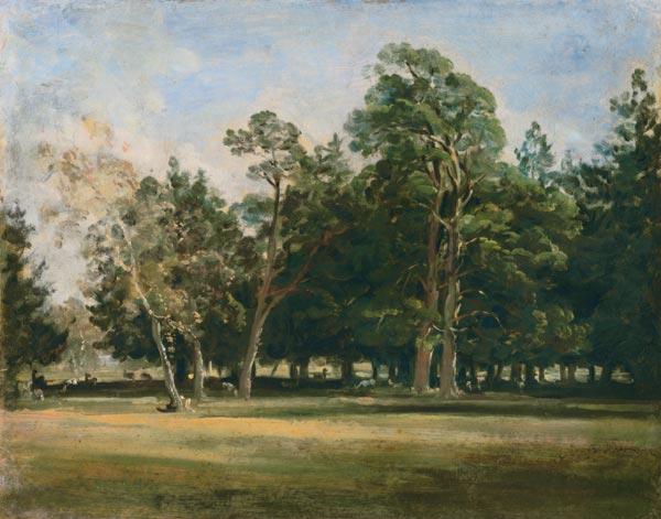 Hirschgarten in München