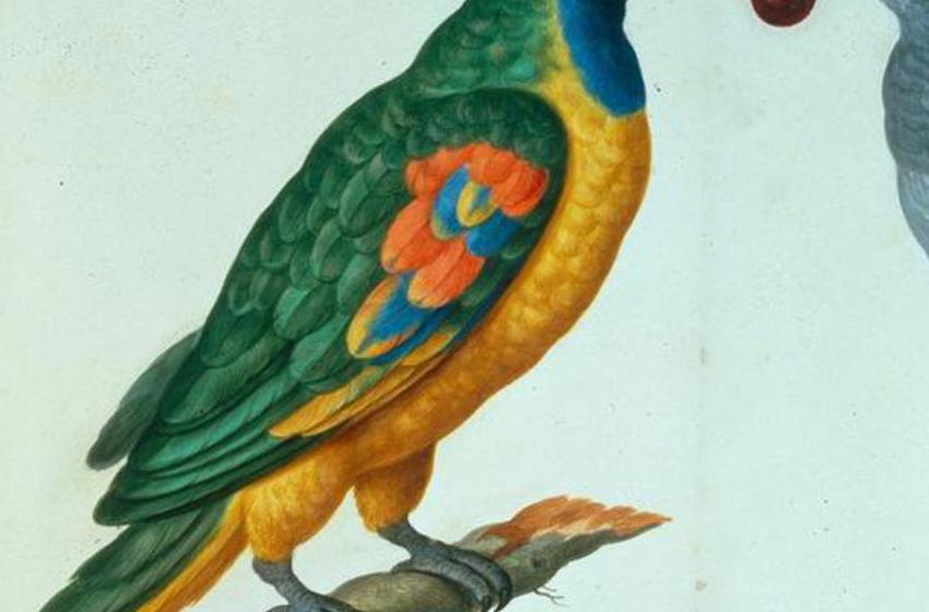 Johann Jakob Walther