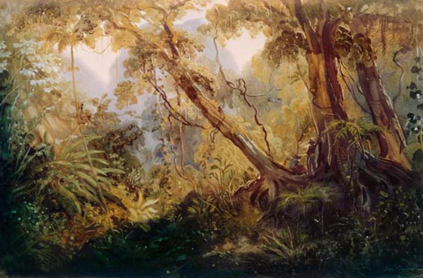 Johann Moritz Rugendas