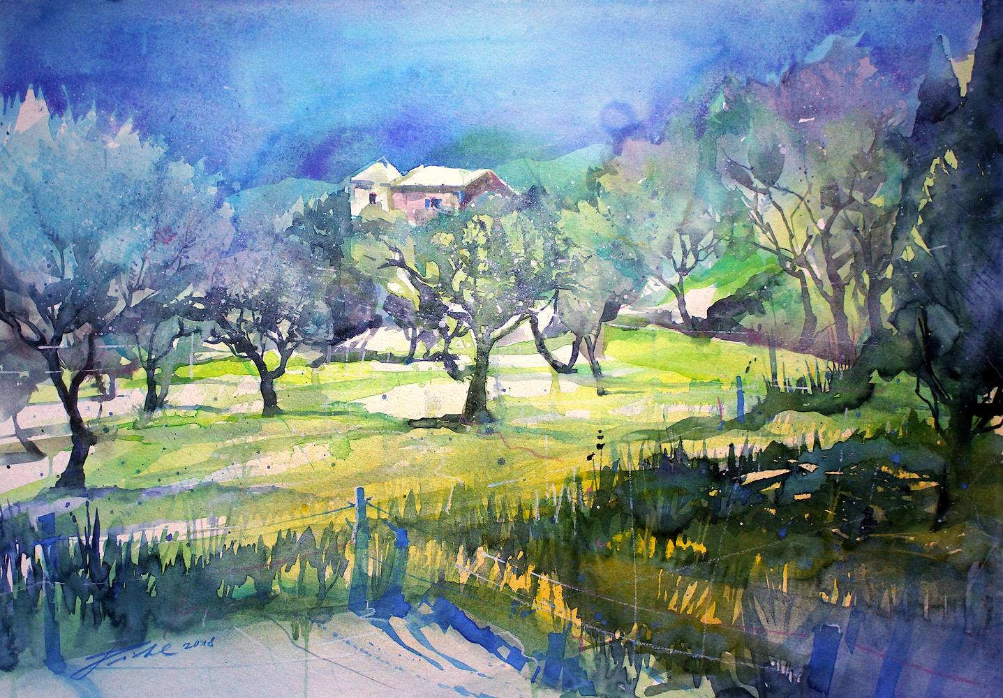 Italien, Latium, Olivenhain bei Santa Maria Infante von Johann Pickl