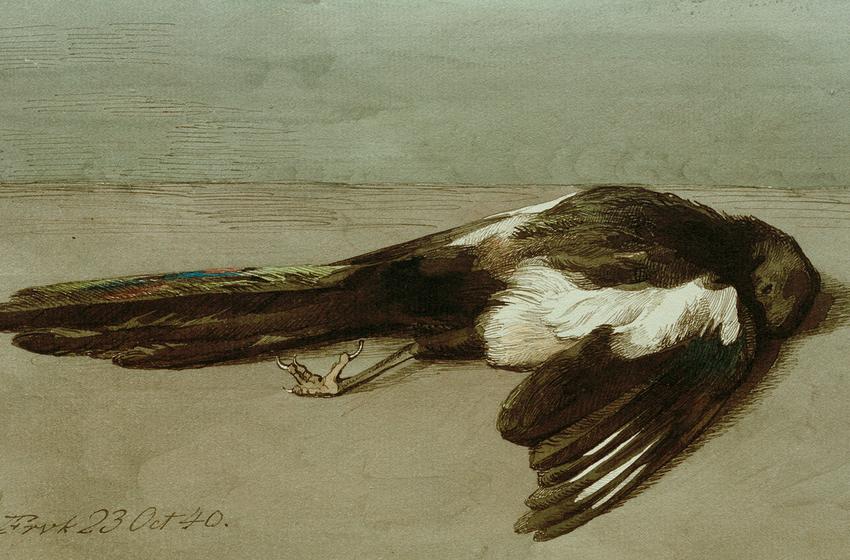 Johan Thomas Lundbye