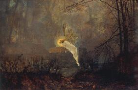 Sommernachtstraum oder Iris