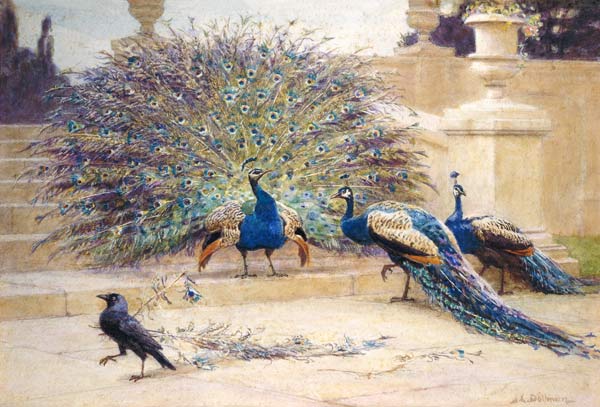 The Borrowed Plume von John Charles Dollman