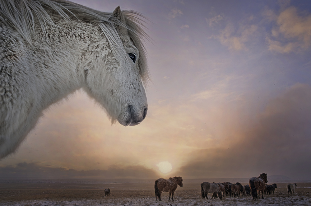 The opening von John Colbensen