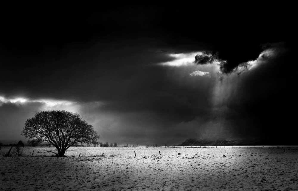 The Crack von John Colbensen