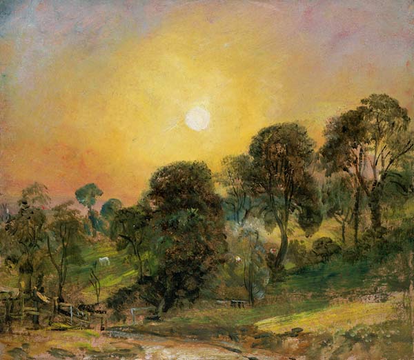 Trees on Hampstead Heath at Sunset (oil on paper) von John Constable
