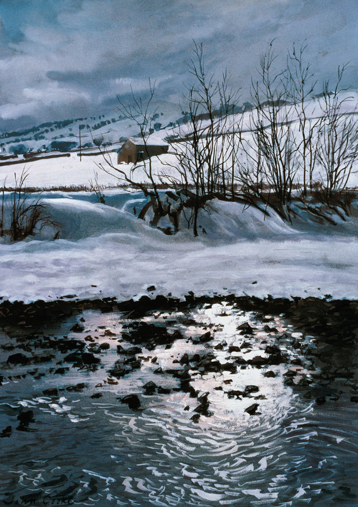 Barn Below Combescar von John  Cooke