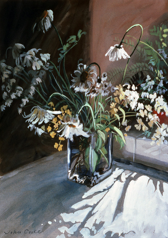 Marguerites von John  Cooke