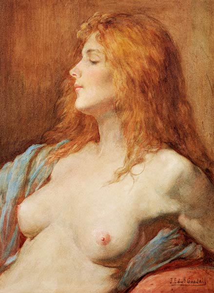 A Redhead von John Edward Goodall