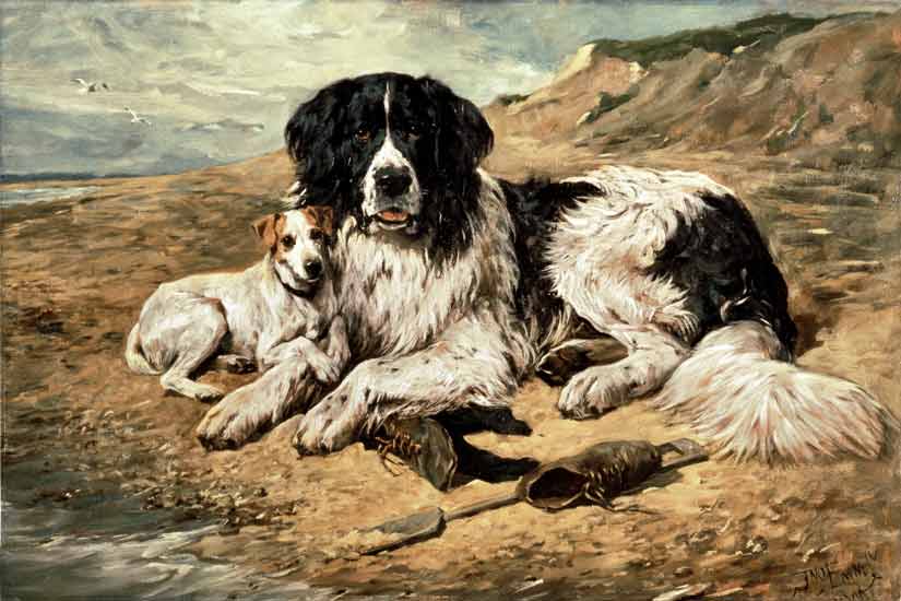 Dogs Watching Bathers von John Emms