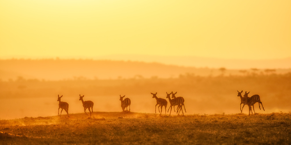 Towards Sunset von John Fan