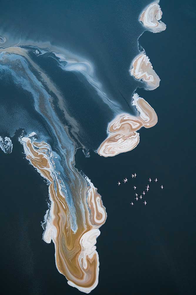 Fliege ins Bild von John Fan