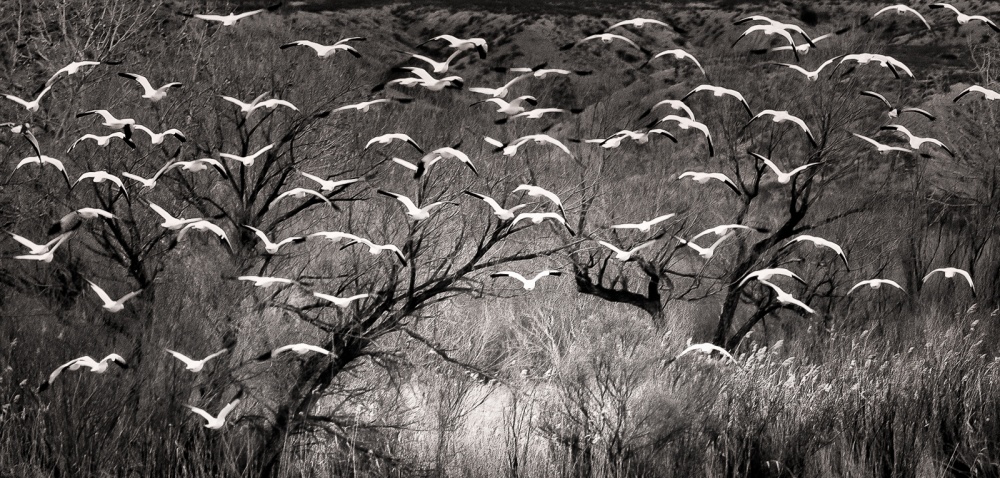 Escape to the Light von John Fan