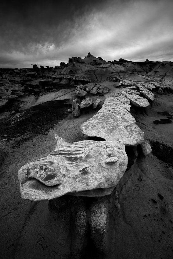 Tale of the Dragon von John Fan