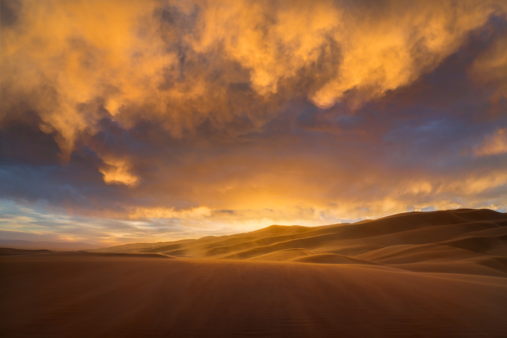 Golden Firework von John Fan