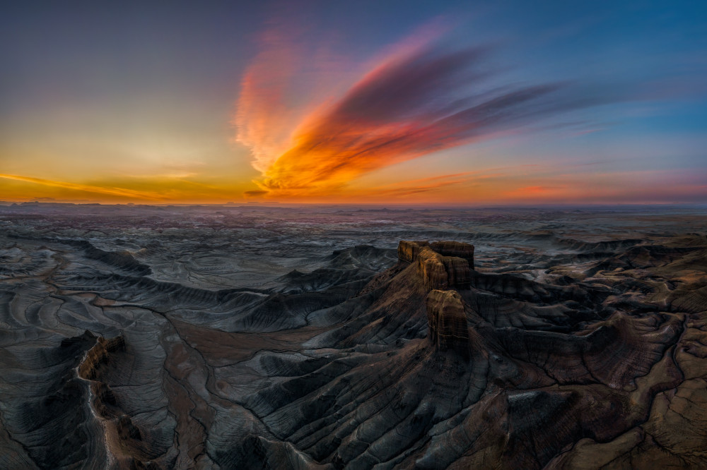 Desert Phenix von John Fan