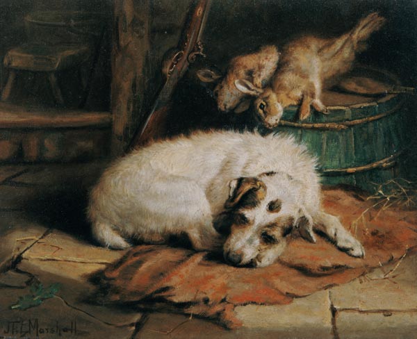 Gamekeeper's Companion von John Fitz Marshall