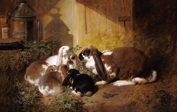 Kaninchenfamilie
