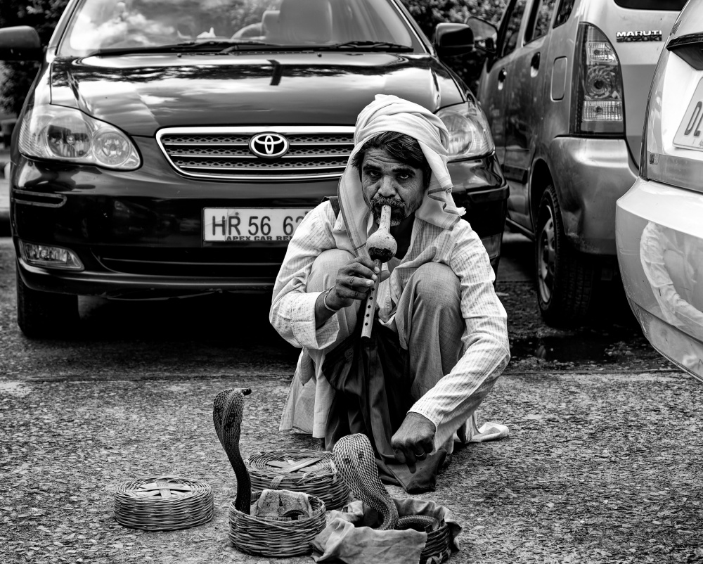 Sidewalk Snake-Charmer von John Hoey