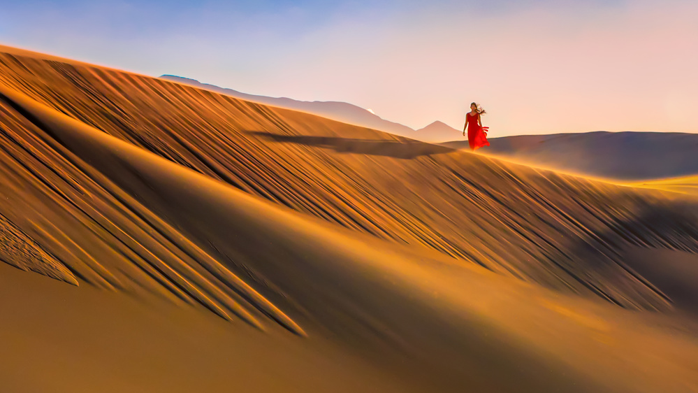 Desert Morning von John J. Chen