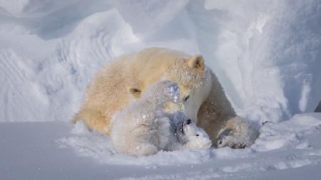 Playing outside for the first time