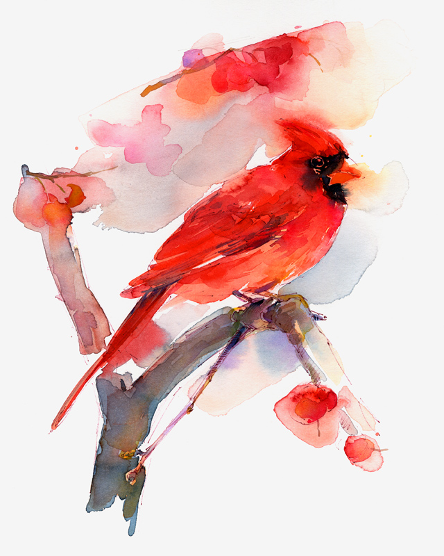 Red cardinal von John Keeling