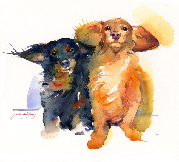 Dacshund Duo von John Keeling