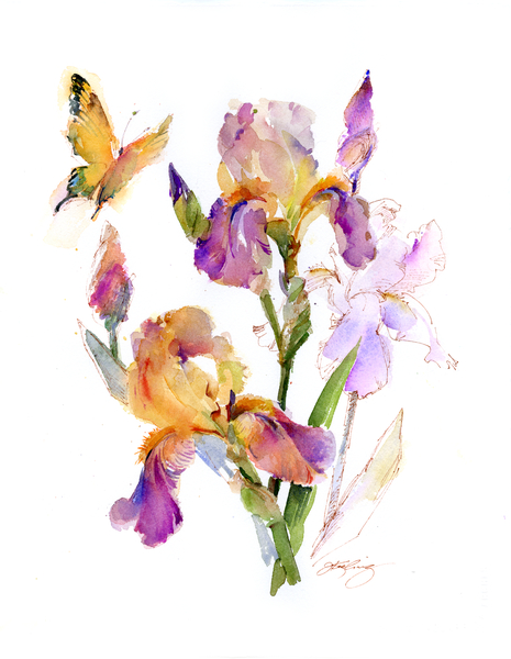 Iris with yellow butterfly von John Keeling