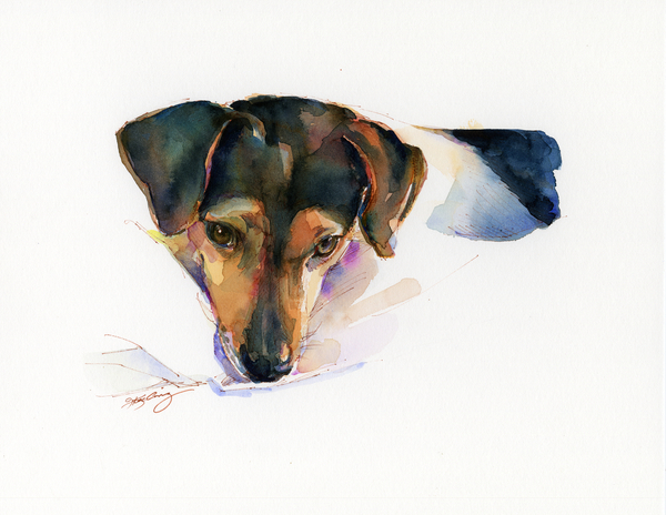 Scout portrait von John Keeling