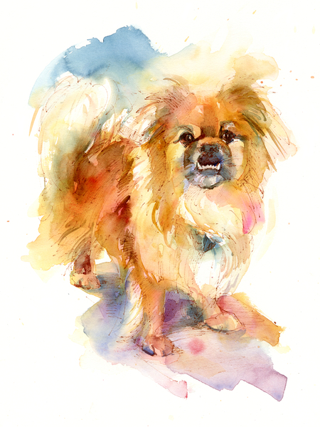 Tipper portrait von John Keeling