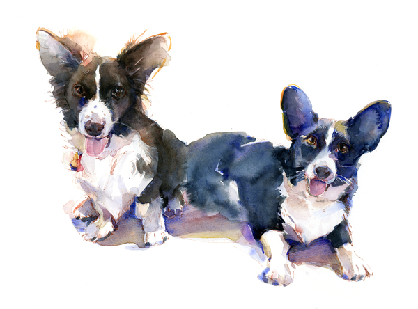 Two Corgis von John Keeling