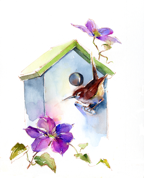 Wren with birdhouse and clematis von John Keeling