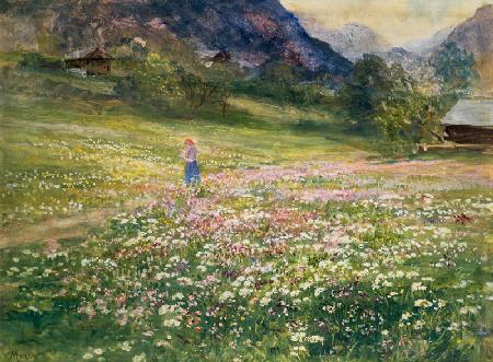 Girl in a Field of Poppies