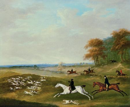 Hetzjagd hinter Hunden