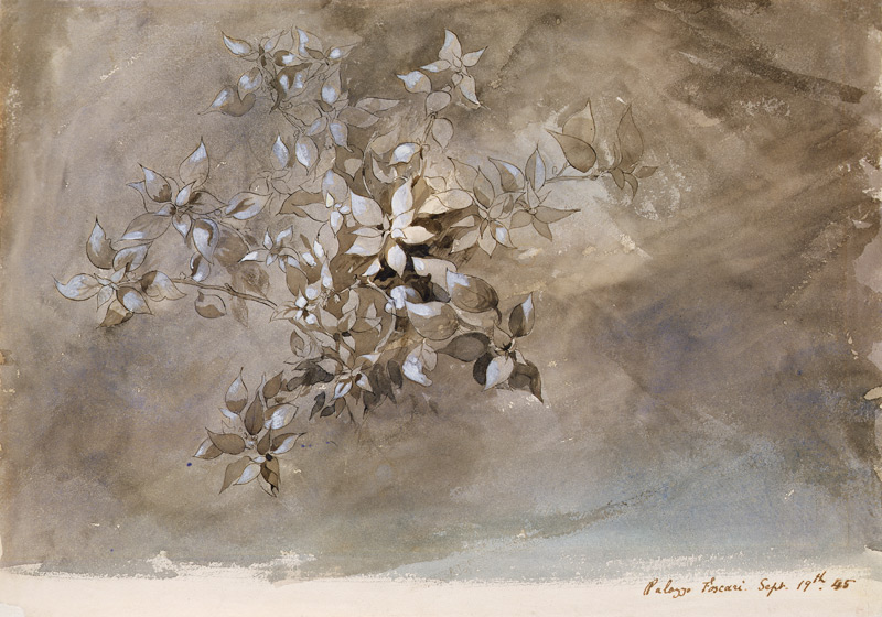 Study of foliage von John Ruskin