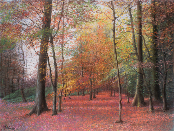 Autumn in the Woods von Margo Starkey