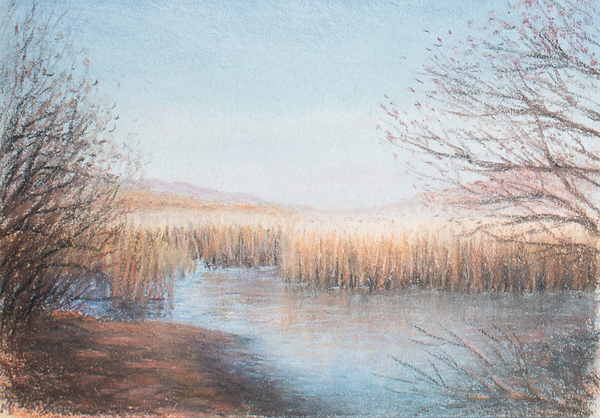 Dawlish Warren Devon von Margo Starkey