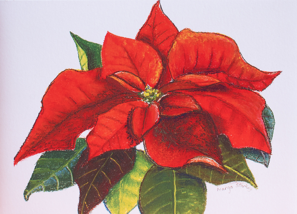 Poinsettia von Margo Starkey