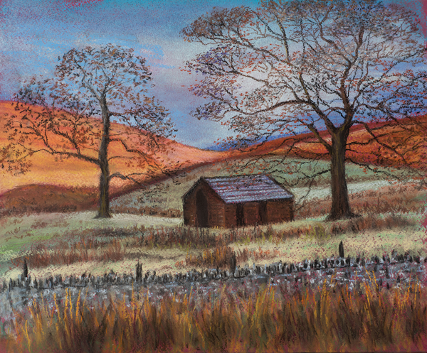 Shepherds hut in wilds von Margo Starkey