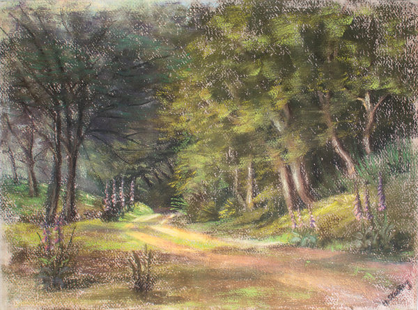 Walk in the Woods, Somerset von Margo Starkey