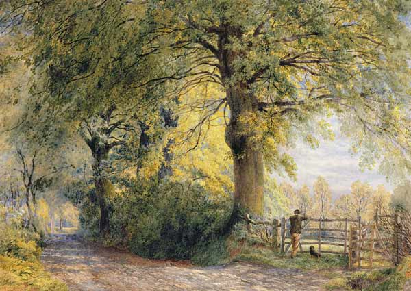 Under the Beeches von John Steeple